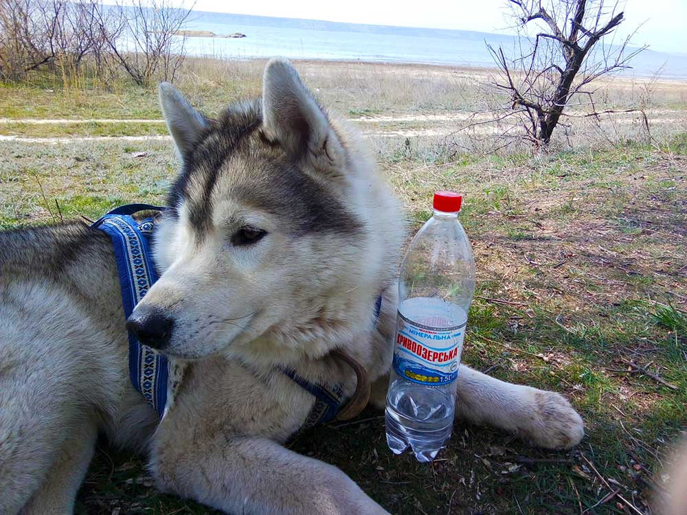 Прев'ю картинка для новини - Осінь прощається теплою погодою